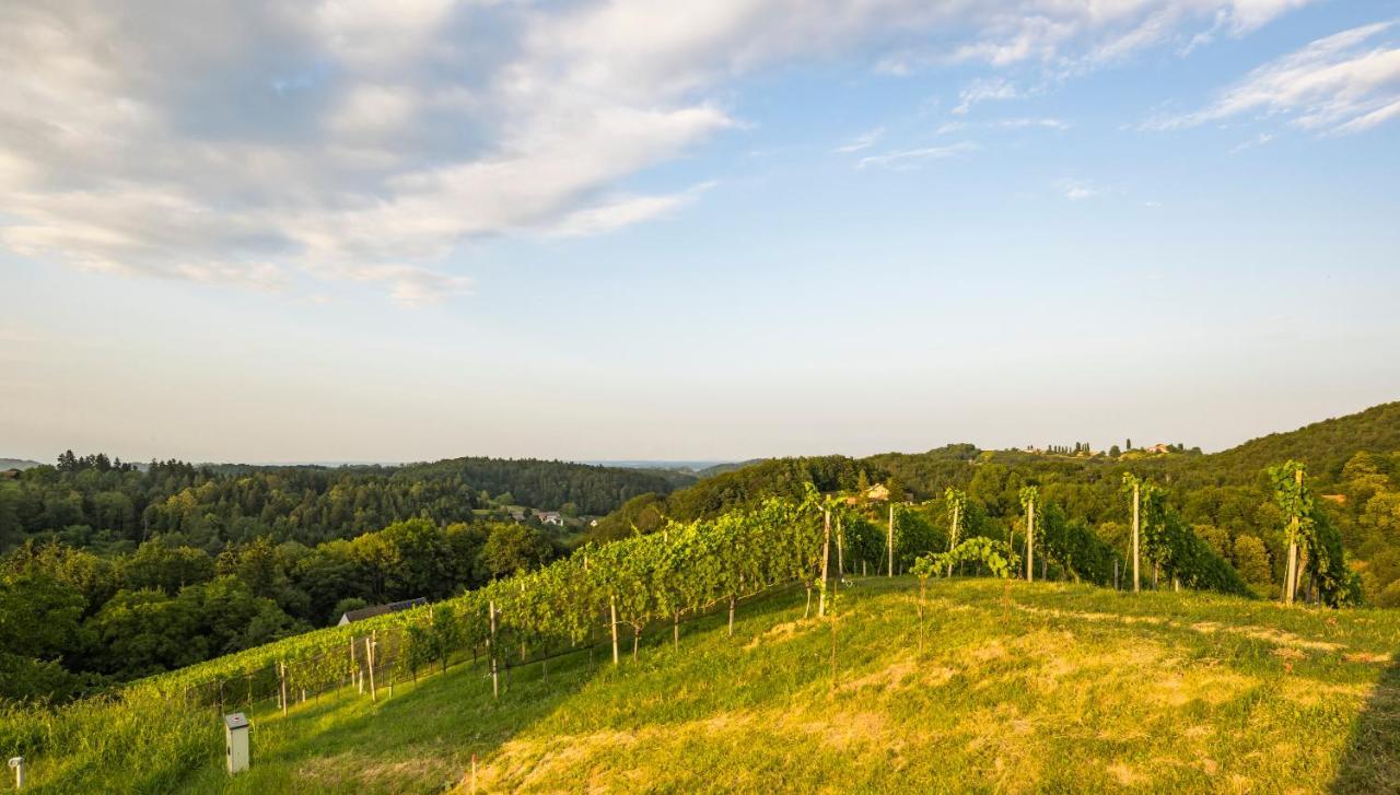 Weinzeit Chalets Gamlitz Bagian luar foto